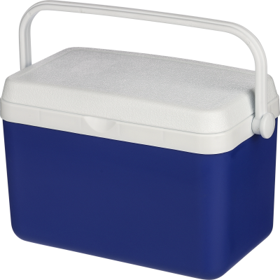 Picture of COOL BOX (4 LITRE) in Cobalt Blue