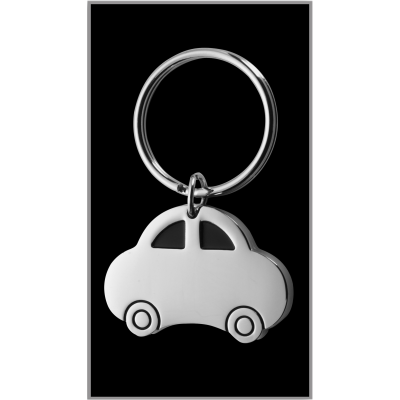 Picture of CAR KEYHOLDER in Silver