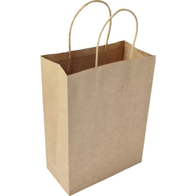 Picture of PAPER BAG in Brown
