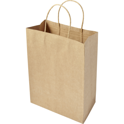 Picture of PAPER BAG in Brown