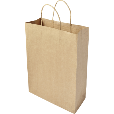 Picture of PAPER BAG in Brown.