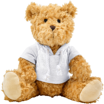 Picture of PLUSH TEDDY BEAR with Hooded Hoody in White.