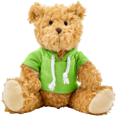 Picture of PLUSH TEDDY BEAR with Hooded Hoody in Green