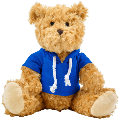 Picture of PLUSH TEDDY BEAR with Hooded Hoody in Blue.