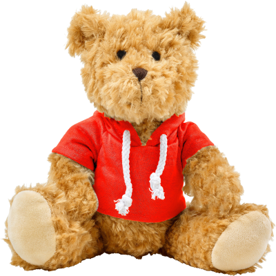 Picture of PLUSH TEDDY BEAR with Hooded Hoody in Red