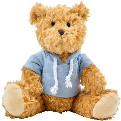 Picture of PLUSH TEDDY BEAR with Hooded Hoody in Light Blue