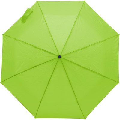 Picture of UMBRELLA in Lime