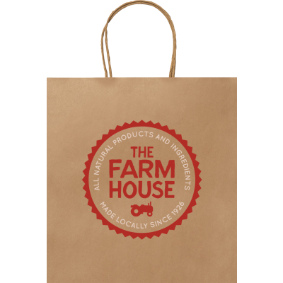 Picture of PAPER BAG (230 x 220 x 90 MM) in Brown