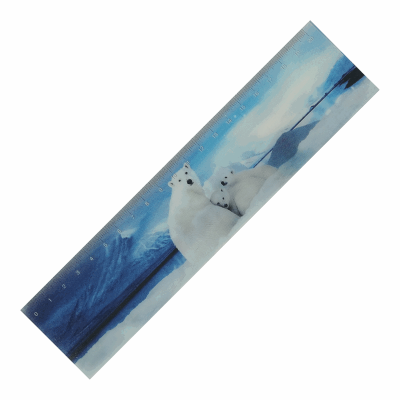 Picture of 3D LENTICULAR RULER (20CM)