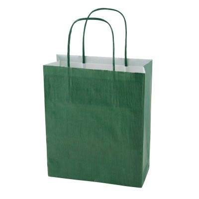 Picture of PAPER BAG 220 x 310 x 100 MM in Green