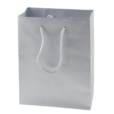 Picture of MATT LAMINATED PAPER BAG 220 x 290 x 100 MM in Silver