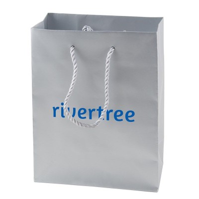 Picture of MATT LAMINATED PAPER BAGS 270 x 370 x 120 MM in Silver