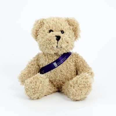 Picture of 25CM SCRUFFY BEAR.