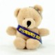 Picture of 10CM TOBY KEYRING BEAR with Sash
