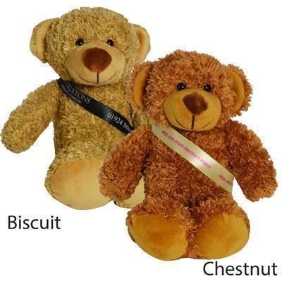 Picture of 20CM BARNEY BEAR with Sash