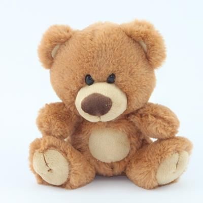 Picture of 15CM CHARLIE BEAR with Tee Shirt.
