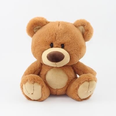 Picture of 25CM CHARLIE BEAR with Tee Shirt