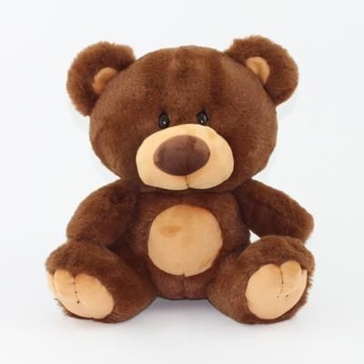 Picture of 15CM CHARLIE BEAR with Tee Shirt