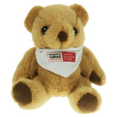 Picture of 13CM BANDANA BEAR.