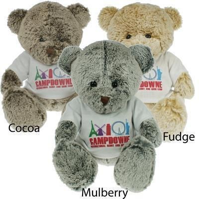 Picture of 25CM PREMIER BEAR with Tee Shirt