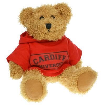 Picture of 20CM SPARKIE BEAR with Hoody.