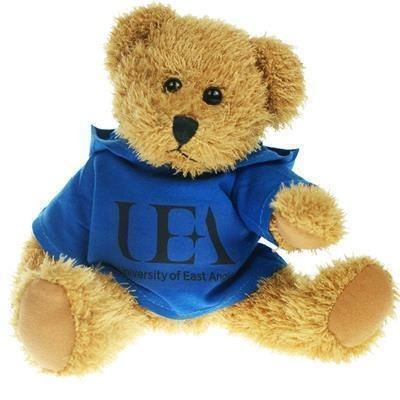 Picture of 25CM SPARKIE BEAR with Hoody