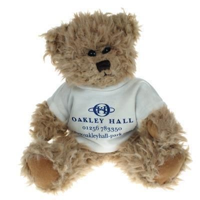 Picture of 20CM WINDSOR BEAR with Tee Shirt