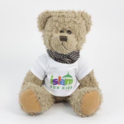 Picture of 25CM WINDSOR BEAR with Tee Shirt.