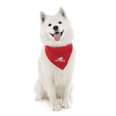 Picture of PET BANDANA.