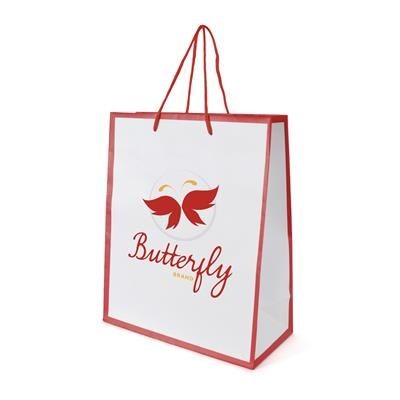 Picture of NEWQUAY MEDIUM GLOSSY PAPER BAG.