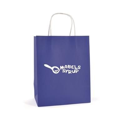 Picture of BRUNSWICK MEDIUM PAPER BAG in Blue
