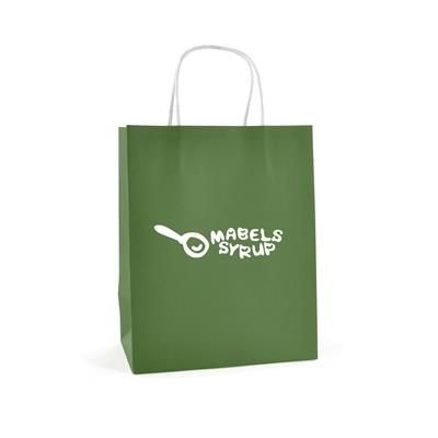 Picture of BRUNSWICK MEDIUM PAPER BAG in Green