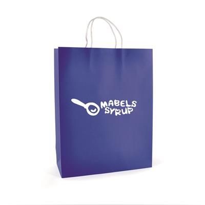 Picture of BRUNSWICK LARGE PAPER BAG in Blue