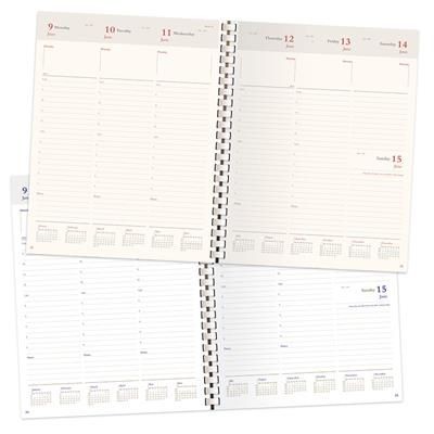 Picture of DESK DIARY INSERT