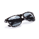 Picture of EXPRESS RENZO SUNGLASSES - BLACK