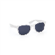 Picture of EXPRESS RENZO SUNGLASSES - WHITE