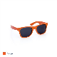 Picture of VIBE RENZO SUNGLASSES - ORANGE
