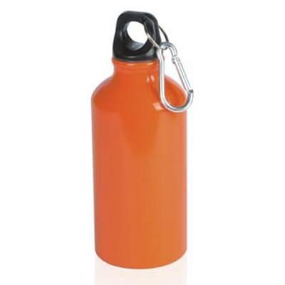 Picture of CHORD CREATION METAL BOTTLE with Carabiner.