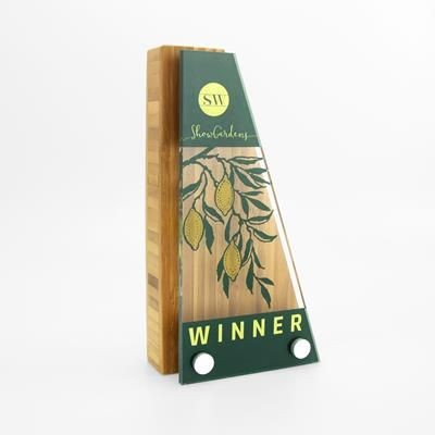 Picture of SHAPE BAMBOO AWARD.