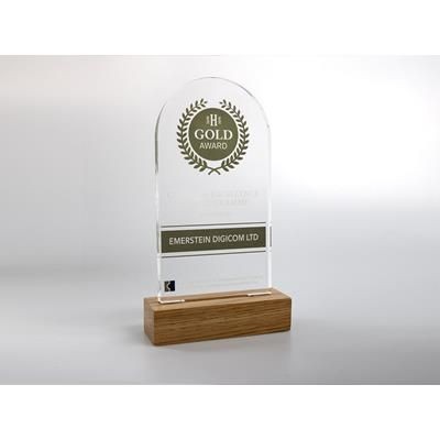 Picture of STANDARD SHAPE ACRYLIC AWARD with Engraved Wood Base.