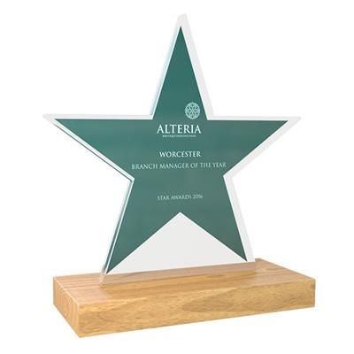 Picture of FREESTANDING BESPOKE ACRYLIC AWARD with Real Wood Base