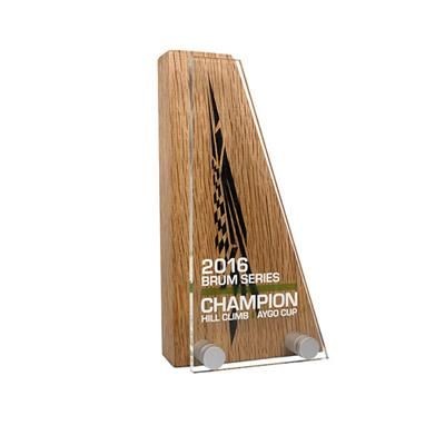 Picture of REAL WOOD BLOCK AWARD with Acrylic Front.