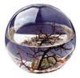 Picture of ROUND ECOSPHERE