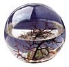 Picture of ROUND ECOSPHERE