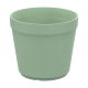 Picture of CIRCULCUP 200 ML in Forest Medium