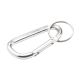 Picture of CARABINER GRS RECYCLED ALUMINIUM METAL in Silver