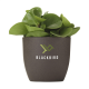 COFFEE FLOWERPOT in Brown image 2