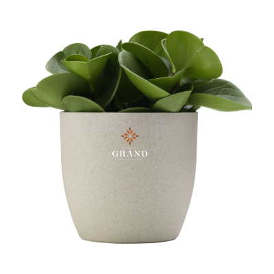 Picture of VIBERS FLOWERPOT