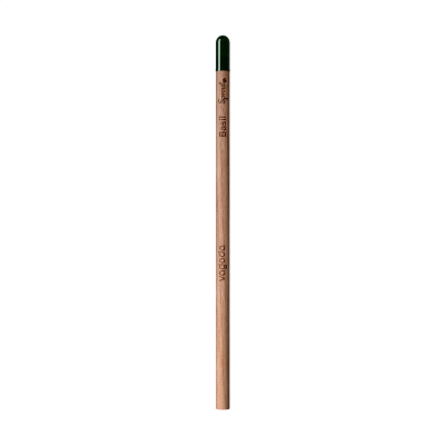 Picture of SPROUTWORLD UNSHARPENED PENCIL in Basil.