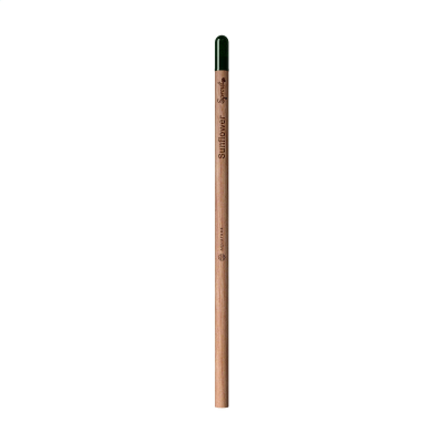 Picture of SPROUTWORLD UNSHARPENED PENCIL